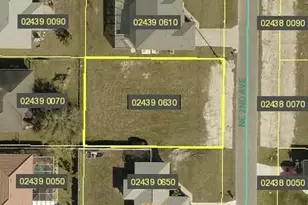 1302 NE 2nd Ave, Cape Coral, FL 33909 - Photo 1