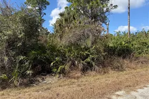 321 Irving Ave, Lehigh Acres, FL 33936 - Photo 3