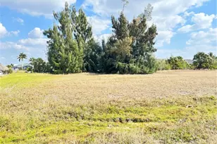 2347 NW 38th Ave, Cape Coral, FL 33993 - Photo 3