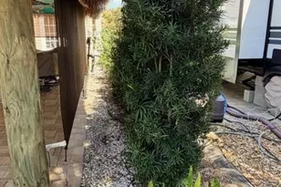 5284 Cypress Trail Resort Cir, Fort Myers, FL 33905 - Photo 23