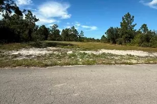 1619 Fitch Ave, Lehigh Acres, FL 33972 - Photo 3