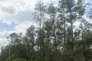 917 Wellington Ave, Lehigh Acres, FL 33972 - Photo 1