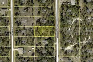 917 Wellington Ave, Lehigh Acres, FL 33972 - Photo 3