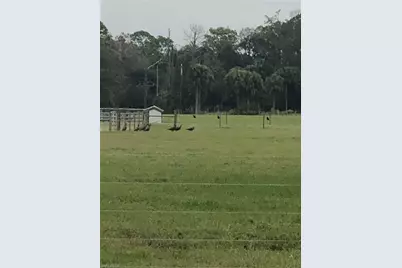 3790 Goggin Rd, Alva, FL 33920 - Photo 23