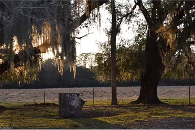 3790 Goggin Rd, Alva, FL 33920 - Photo 31