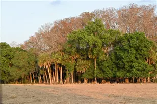 3790 Goggin Rd, Alva, FL 33920 - Photo 25