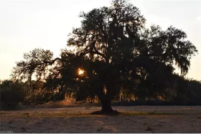 3790 Goggin Rd, Alva, FL 33920 - Photo 29