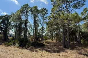 844 Bianca Ave S, Lehigh Acres, FL 33974 - Photo 11