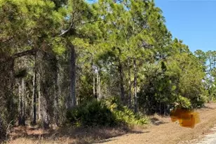 844 Bianca Ave S, Lehigh Acres, FL 33974 - Photo 17