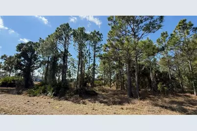 844 Bianca Ave S, Lehigh Acres, FL 33974 - Photo 13