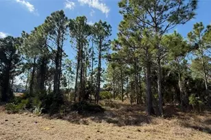 844 Bianca Ave S, Lehigh Acres, FL 33974 - Photo 13