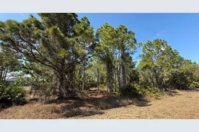 844 Bianca Ave S, Lehigh Acres, FL 33974 - Photo 9