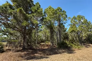 844 Bianca Ave S, Lehigh Acres, FL 33974 - Photo 9