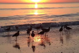 7300 Estero Blvd, Fort Myers Beach, FL 33931 - Photo 27