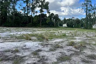 1200 Scott Ave, Lehigh Acres, FL 33972 - Photo 1