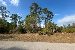 1137 Crestwood St E, Lehigh Acres, FL 33974 - Photo 1