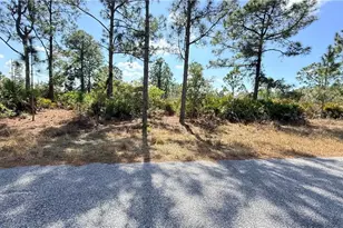 1076 Bells St E, Lehigh Acres, FL 33974 - Photo 3