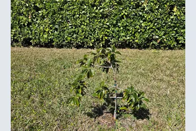 1627 SW 14th St, Cape Coral, FL 33991 - Photo 13