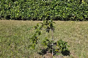 1627 SW 14th St, Cape Coral, FL 33991 - Photo 13