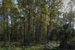 107 Opal Ct, Lehigh Acres, FL 33974 - Photo 3