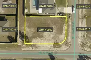 1218 NE Juanita Pl, Cape Coral, FL 33909 - Photo 1