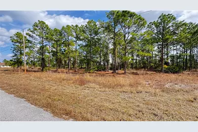 727 Randall Ave E, Lehigh Acres, FL 33974 - Photo 3