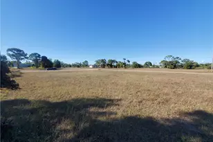 4317 NW 36th Pl, Cape Coral, FL 33993 - Photo 3