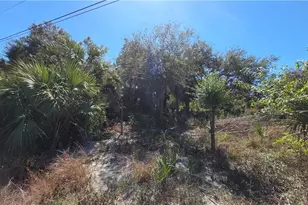 606 Charles Sise St, Lehigh Acres, FL 33974 - Photo 1