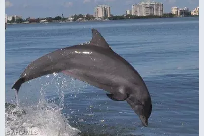 1144 NW 19th Ave, Cape Coral, FL 33993 - Photo 9