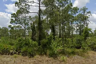 2315 McArthur Ave, Alva, FL 33920 - Photo 3