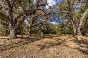 18851 Palm Beach Blvd, Alva, FL 33920 - Photo 45