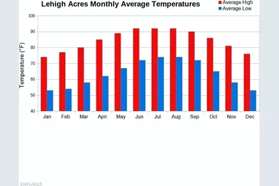 645 Montclair Ave S, Lehigh Acres, FL 33974 - Photo 3