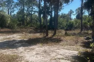 3611 50th St W, Lehigh Acres, FL 33971 - Photo 1