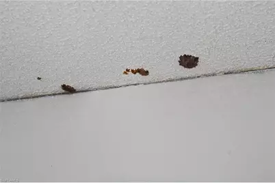 17626 Osprey Inlet Ct, Fort Myers, FL 33908 - Photo 17