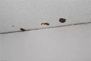 17626 Osprey Inlet Ct, Fort Myers, FL 33908 - Photo 17