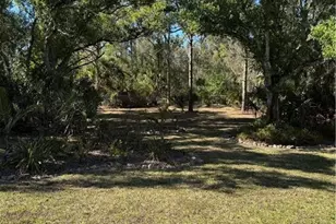 3307 Delilah Dr, Cape Coral, FL 33993 - Photo 9