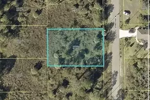 2913 Dora Ave N, Lehigh Acres, FL 33971 - Photo 1