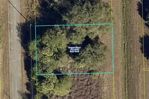 342 Phoenix Terrace, Labelle, FL 33935 - Photo 1