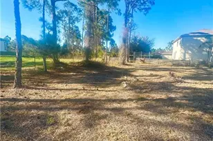 724 Randall Ave E, Lehigh Acres, FL 33974 - Photo 5