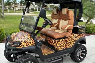 11845 Lady Anne Cir, Cape Coral, FL 33991 - Photo 25