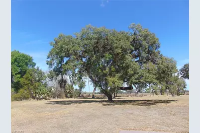 1092 Riverbend Dr, Labelle, FL 33935 - Photo 5