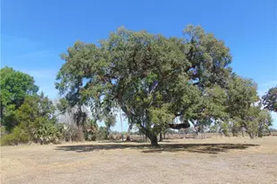 1092 Riverbend Dr, Labelle, FL 33935 - Photo 5