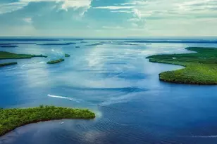 10534 Fountain Palm Cir, Bokeelia, FL 33922 - Photo 15