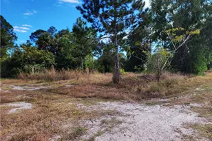 3125 29th St SW, Lehigh Acres, FL 33976 - Photo 3