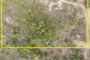 49599 Bermont Rd, Punta Gorda, FL 33982 - Photo 1