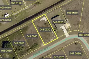 217 Partridge St, Lehigh Acres, FL 33974 - Photo 1