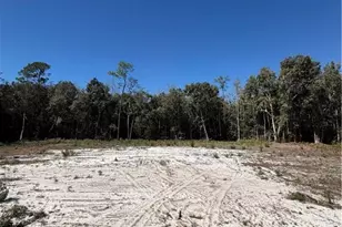 11595 Tomato Rd, Naples, FL 34114 - Photo 15