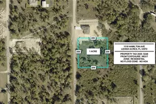 1316 Hamilton Ave, Lehigh Acres, FL 33972 - Photo 1