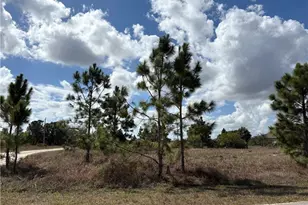 1000 Gleason St, Lehigh Acres, FL 33974 - Photo 1