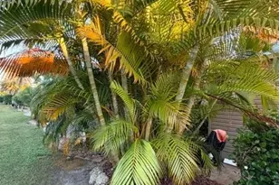 10325 Fire Flag Trail, Fort Myers, FL 33905 - Photo 17